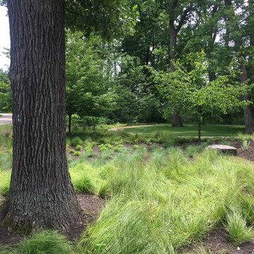 AFTER: Front plantings facing south