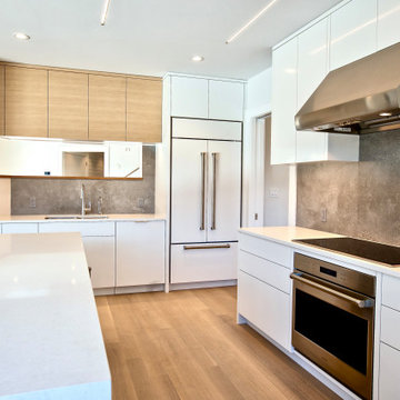 Lexington Passive & Net Zero House
