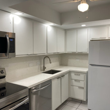 Modern Kitchen Remodel With New Carrara Quartz Countertop