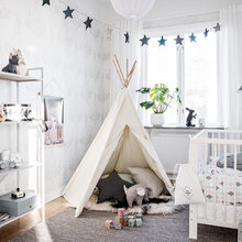 Perro Habitación