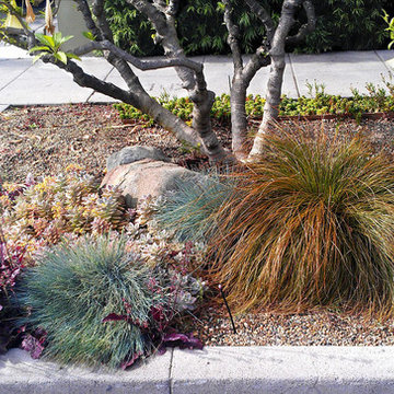 Garden for Reflection and Awareness