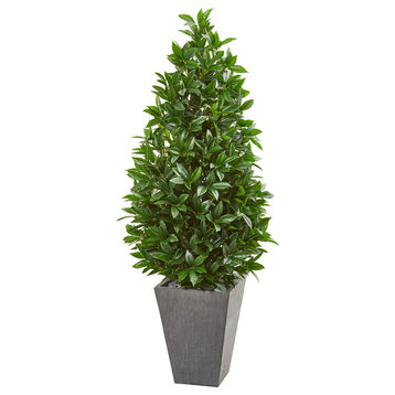 57" Bay Leaf Cone Topiary Tree in Slate Planter UV Resistant, Indoor/Outdoor