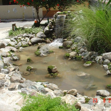 Biological Koi Ponds