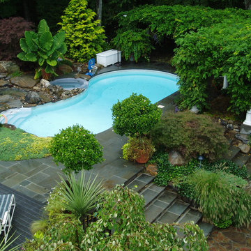 Backyard landscape with pool and wisteria covered pergola