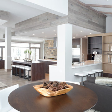 Snowmass Village, Colorado Residence