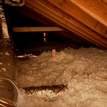 Insulation Assessment