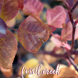 Fossil Creek in the Fall - Products