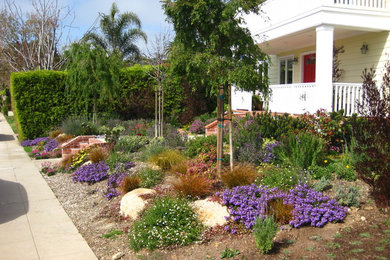 Design ideas for a traditional landscaping in San Diego.
