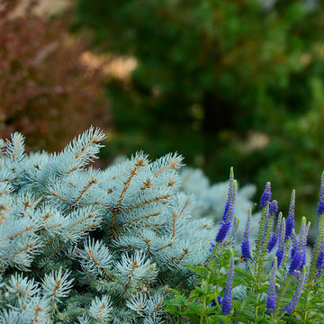 Planting Design and Plant Combinations