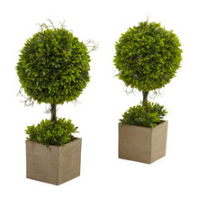 10 Topiary shopping