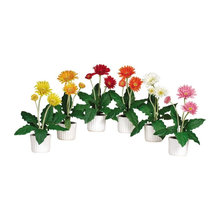 Flowers decor
