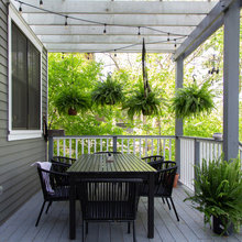 backyard landscape