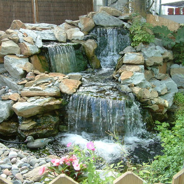 Pond and Water Features