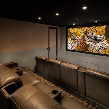 Home Theatre # 2
