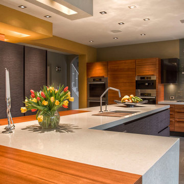 Ladue, Kitchen Remodel