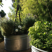Patio Ideas