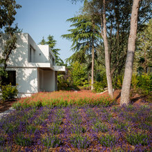 jardines