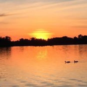 Anna Capobianco Di Vito's photo