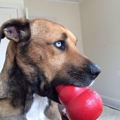 Anne Terry's photo