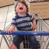 Martin Cohen's photo