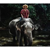 Foto von Chris Mavricos