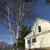 Scott W's photo