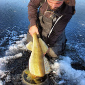 Layne Maier's photo