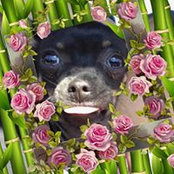 Megan Schroeder's photo