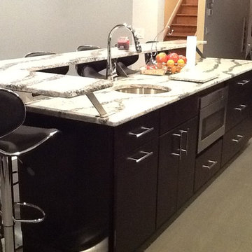 Contemporary Kitchen Remodel
