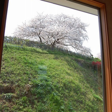 『桜並木を望む家』開放的な2階リビングの住まい