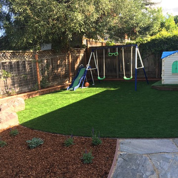 Sunnyvale Lawn Removal