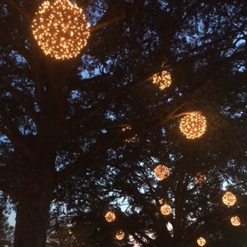 Holiday Lighting