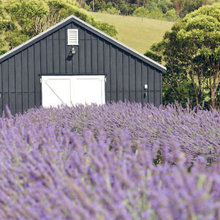 Barn
