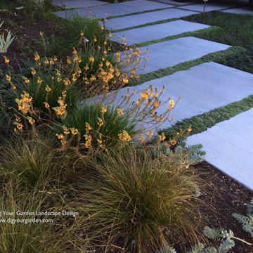 Modern Water-Side Landscape Remodel - Front, Bel Marin Keys, Novato, CA