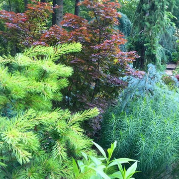 Border bed in front garden