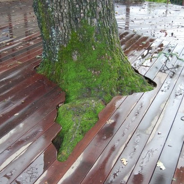 Brazilian Walnut Decking
