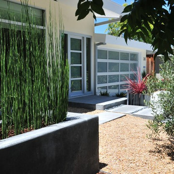 Mountain View Contemporary
