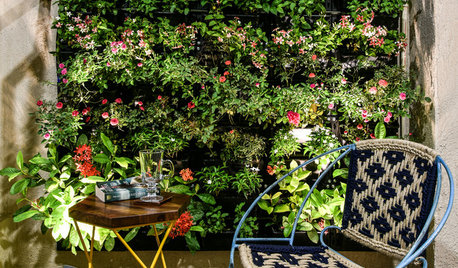 How to Make Your Small Garden Look Bigger
