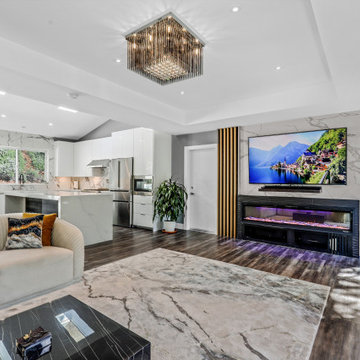 Full Home Remodel & Addition