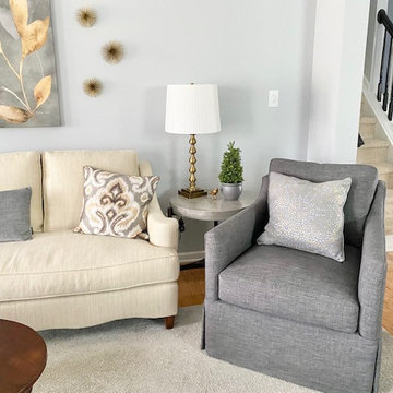 Gray and Cream Transitional Living Room