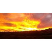 Robyn Boelter's photo