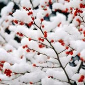 Gloria Huang's photo