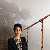 Shokofeh Amin's photo