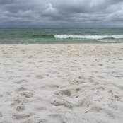Madison Cornelius's photo