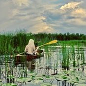 Stephanie Schafer's photo