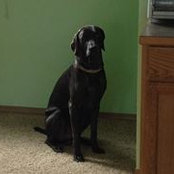 Kathee Killion's photo