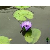 Margaret Hranitzky's photo