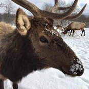 Debbie Rochester's photo