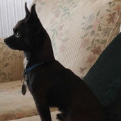 Foto di Deborah Brebner