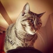 Joann Swanson's photo